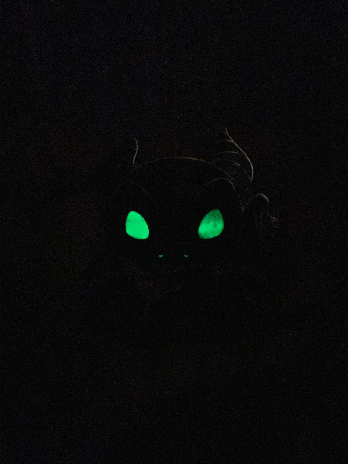 “Cuddle Critters” Series 3 Fantasy Pins